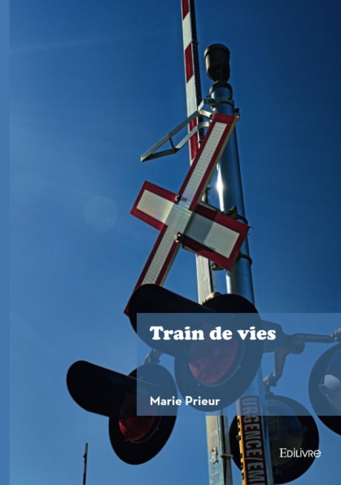 Couverture du livre « Train de vies », librairie Les Contes Infusés à Corte
