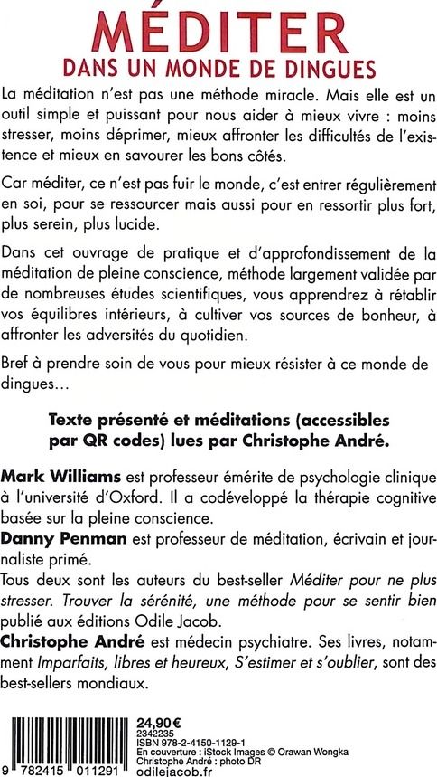 Quatrième de couverture de « Méditer dans un monde de dingues : pratiquer et approfondir la pleine conscience »