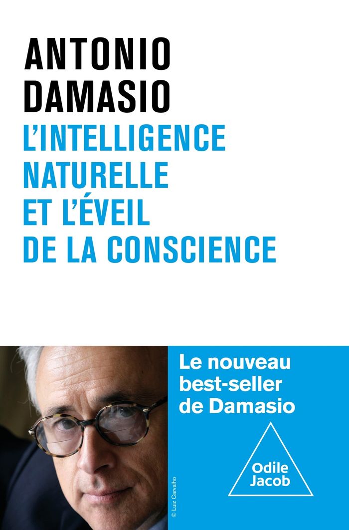 Couverture du livre « L'intelligence naturelle et l'éveil de la conscience », librairie Les Contes Infusés à Corte