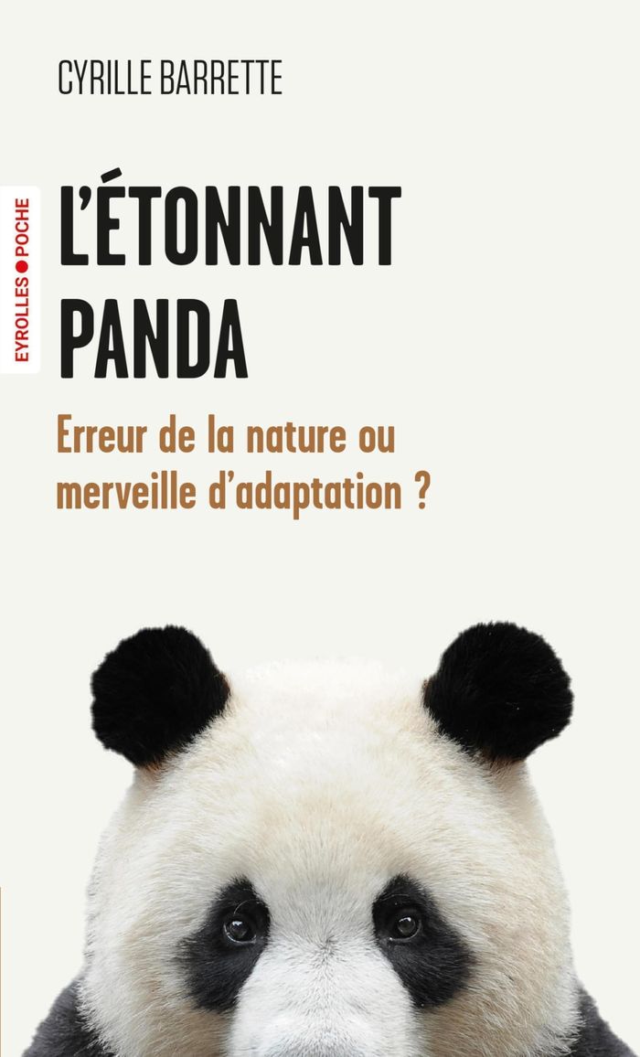 Couverture du livre « L'étonnant panda : erreur de la nature ou merveille d'adaptation ? » de Cyrille Barrette, librairie Les Contes Infusés à Corte