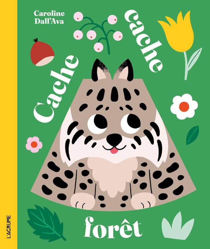 Couverture du livre « Cache-cache forêt » de Caroline Dall'Ava, librairie Les Contes Infusés à Corte