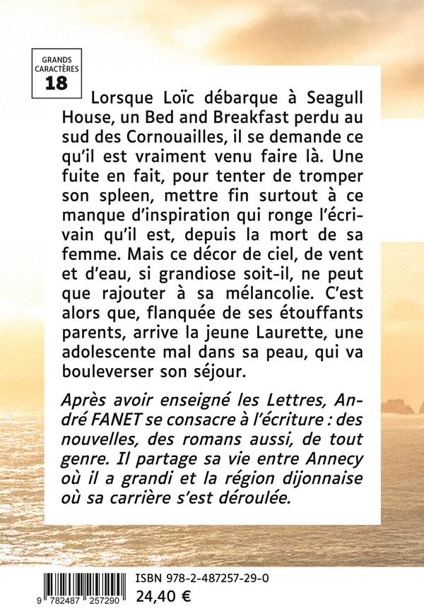 Quatrième de couverture de « Laurette : roman »