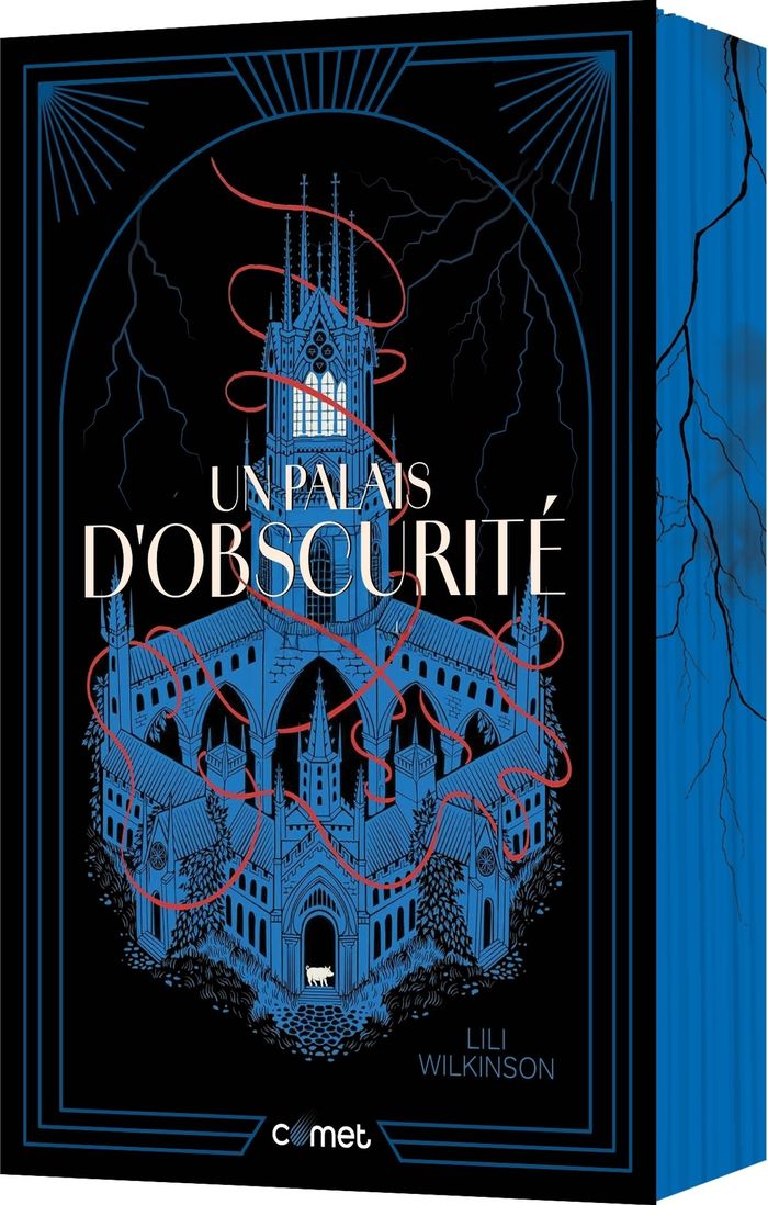 Couverture du livre « Un Palais d'obscurité » de Lili Wilkinson, librairie Les Contes Infusés à Corte