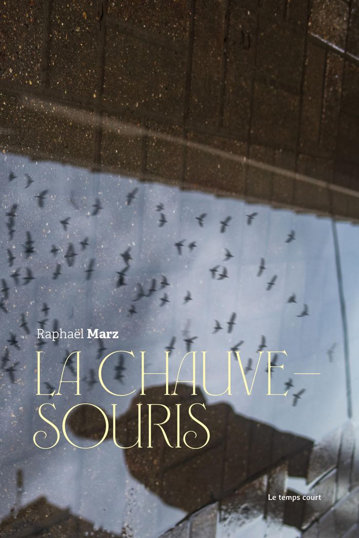 Couverture du livre « La chauve-souris » de Raphaël Marz, librairie Les Contes Infusés à Corte