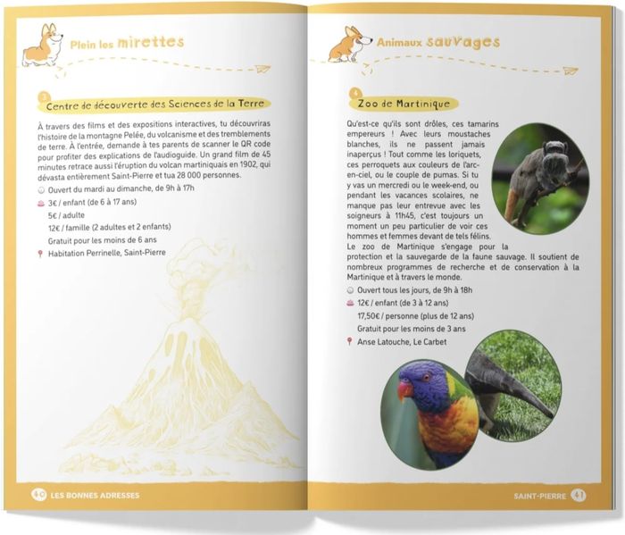 Couverture du livre « Martinique : s'amuser, explorer, dormir, manger », librairie Les Contes Infusés à Corte