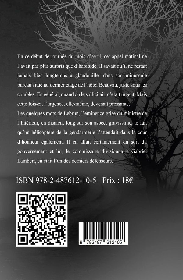 Quatrième de couverture de « LE BOIS AUX LOUPS »
