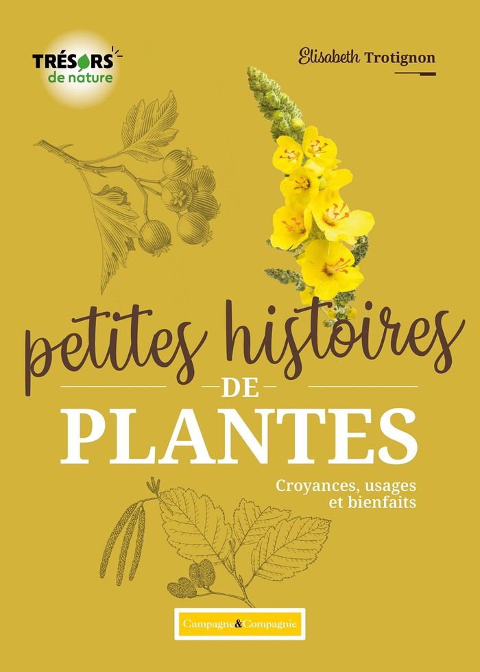 Couverture du livre « Petites histoires de plantes : croyances, usages et bienfaits » de Élisabeth Trotignon, librairie Les Contes Infusés à Corte