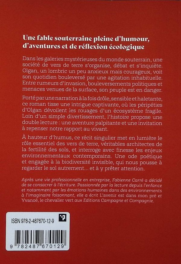 Quatrième de couverture de « Turbulences en sous-sol »