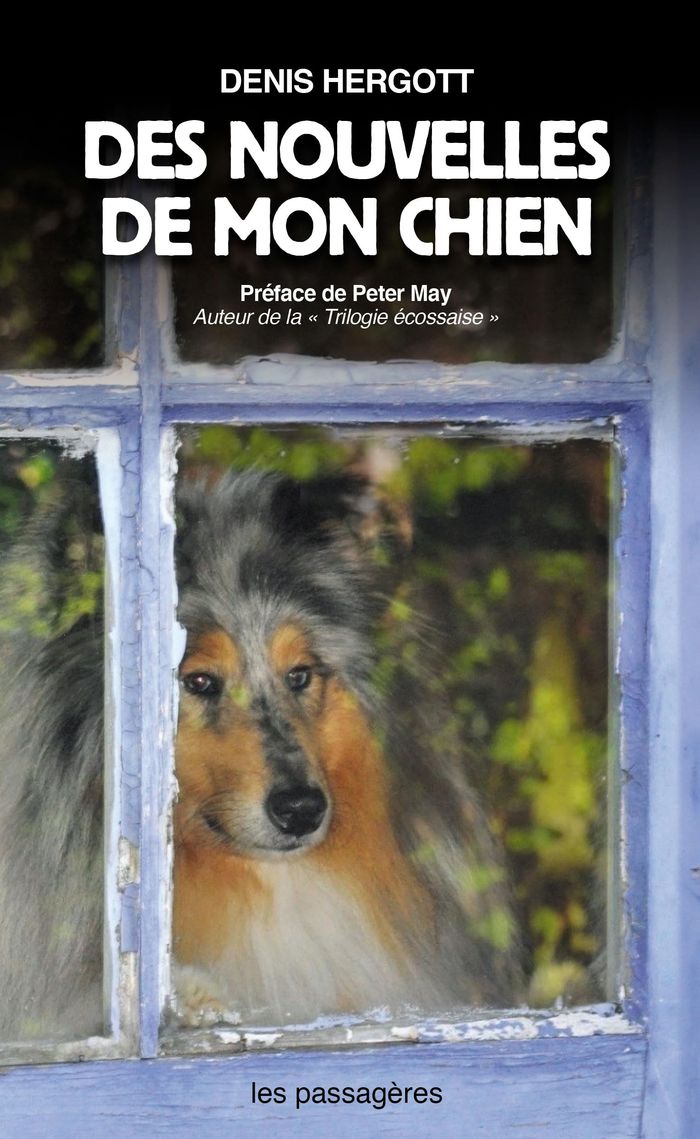 Couverture du livre « Des Nouvelles de mon chien » de Denis Hergott, librairie Les Contes Infusés à Corte