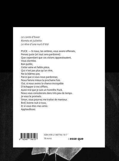 Quatrième de couverture de « Le conte d'hiver »