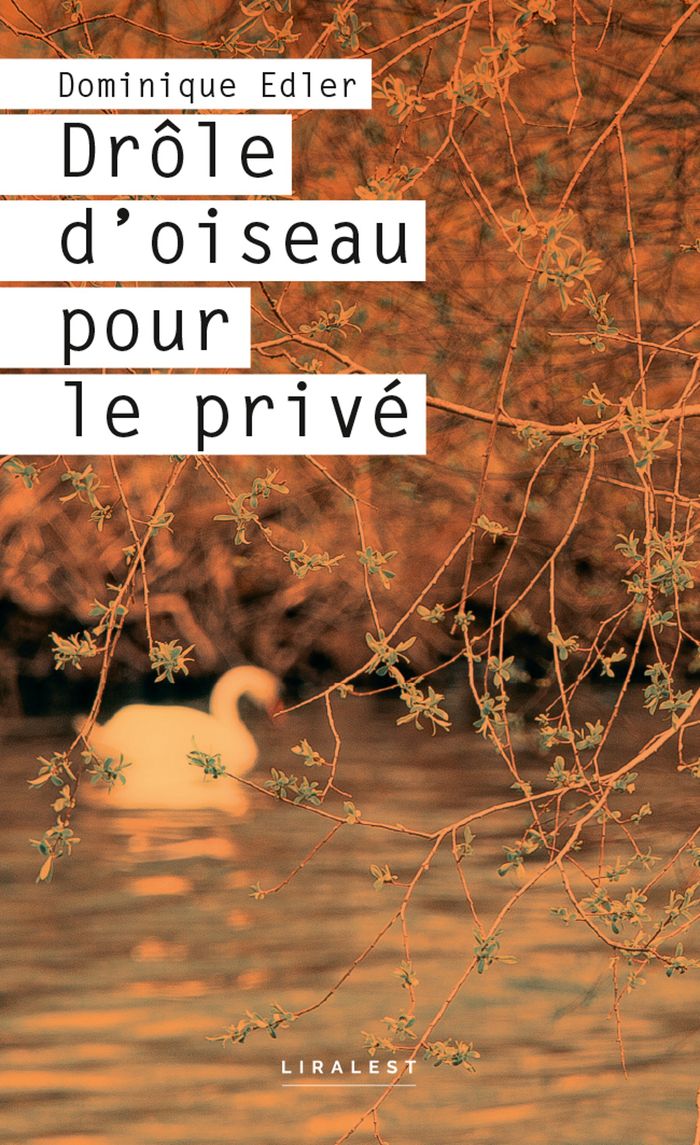 Couverture du livre « Drôle d'oiseau pour le privé » de Dominique Edler, librairie Les Contes Infusés à Corte