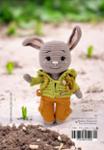 Quatrième de couverture de « Robin, le lapin malin »