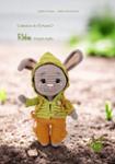 Couverture du livre « Robin, le lapin malin » de Valérie_Filuncrochet, librairie Les Contes Infusés à Corte