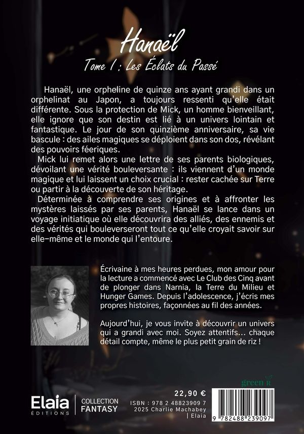 Quatrième de couverture de « Les éclats du passé »