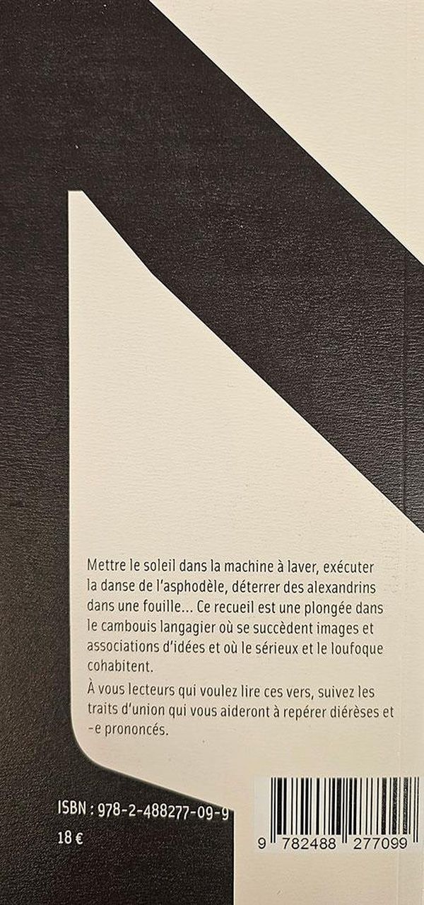 Quatrième de couverture de « J'ai mis le soleil dans la machine à laver »