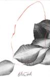 Quatrième de couverture de « Depuis nos petites filles ordinaires »