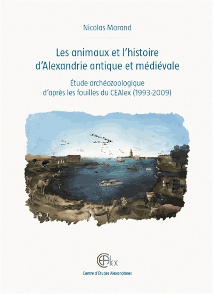 Couverture du livre « LES ANIMAUX ET L'HISTOIRE D'ALEXANDRIE ANTIQUE ET MEDIEVALE - ETUDE ARCHEOZOOLOGIQUE D'APRES LES FOU » de Nicolas Moradn, librairie Les Contes Infusés à Corte
