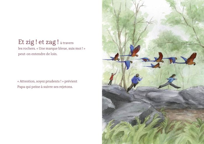 Couverture du livre « EN AVANT VERS LA MARE AUX FEES ! » de Kaz, librairie Les Contes Infusés à Corte