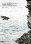 Quatrième de couverture de « Sauvage »