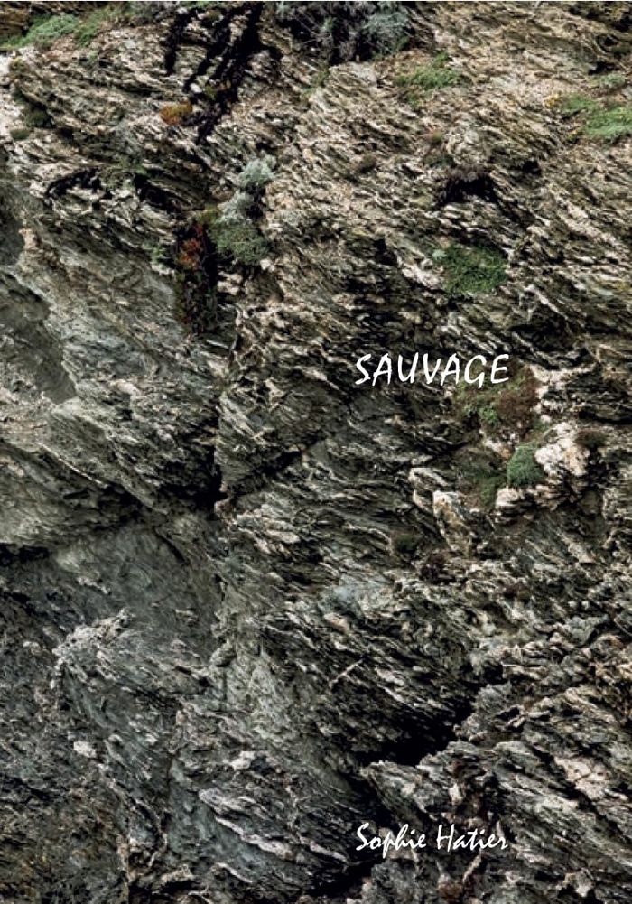 Couverture du livre « Sauvage », librairie Les Contes Infusés à Corte