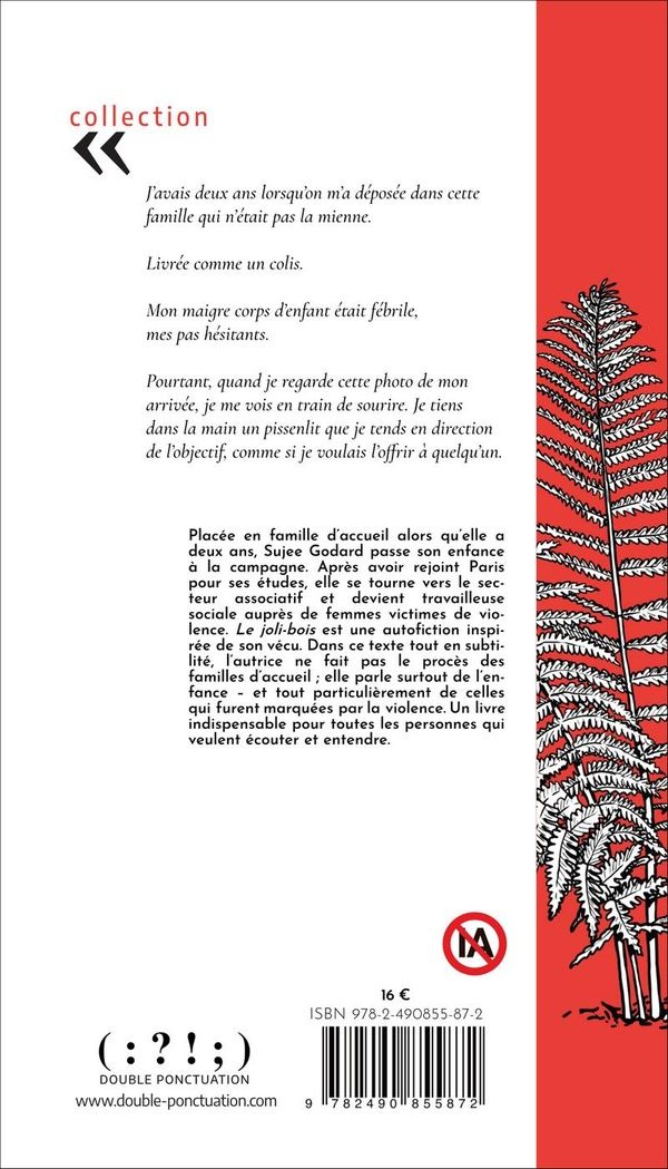 Quatrième de couverture de « Le joli-bois »