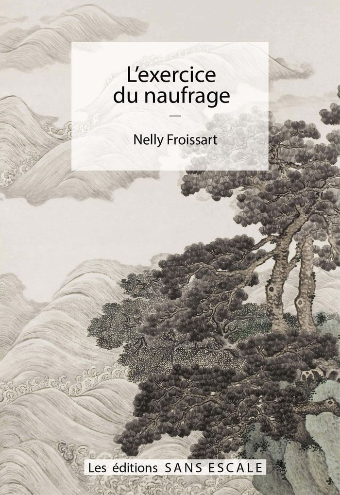 Couverture du livre « L'EXERCICE DU NAUFRAGE » de Nelly Froissart, librairie Les Contes Infusés à Corte