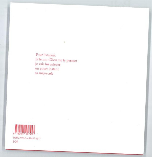 Quatrième de couverture de « Poèmes nés par accident »