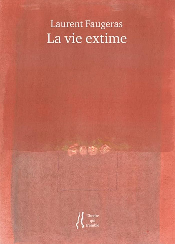 Couverture du livre « La vie extime : poèmes » de Laurent Faugeras, librairie Les Contes Infusés à Corte