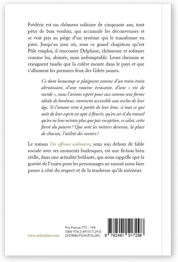 Quatrième de couverture de « Des offenses ordinaires : roman »