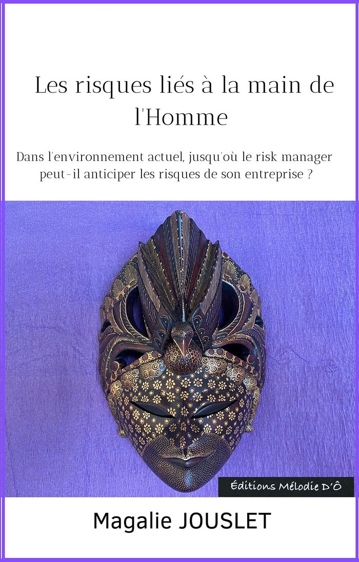 Couverture du livre « DANS L'ENVIRONNEMENT ACTUEL, JUSQU'OU LE RISK MANAGER PEUT-IL ANTICIPER LES RISQUES DE SON ENTREPRIS » de Magalie Jouslet, librairie Les Contes Infusés à Corte