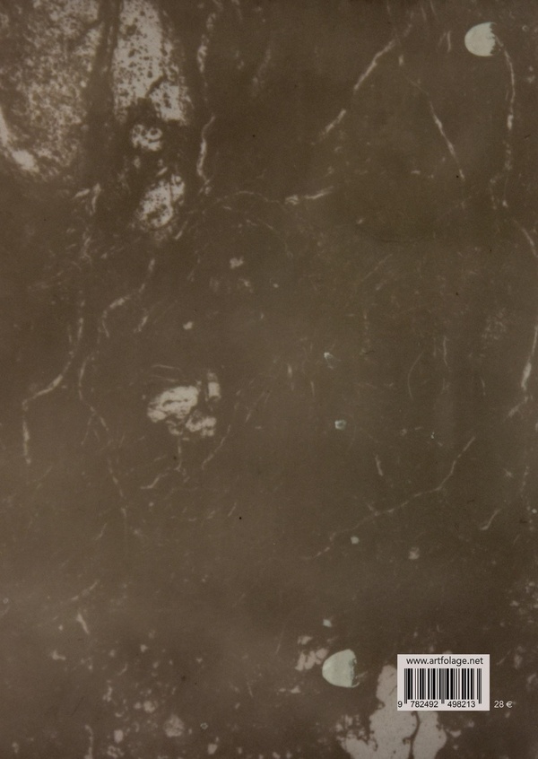 Quatrième de couverture de « La métamorphose des nymphes : nymphs metamorphosis »