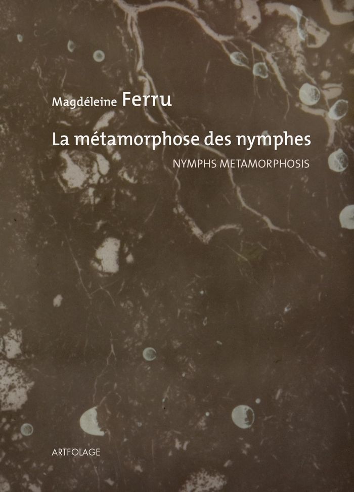 Couverture du livre « La métamorphose des nymphes : nymphs metamorphosis », librairie Les Contes Infusés à Corte