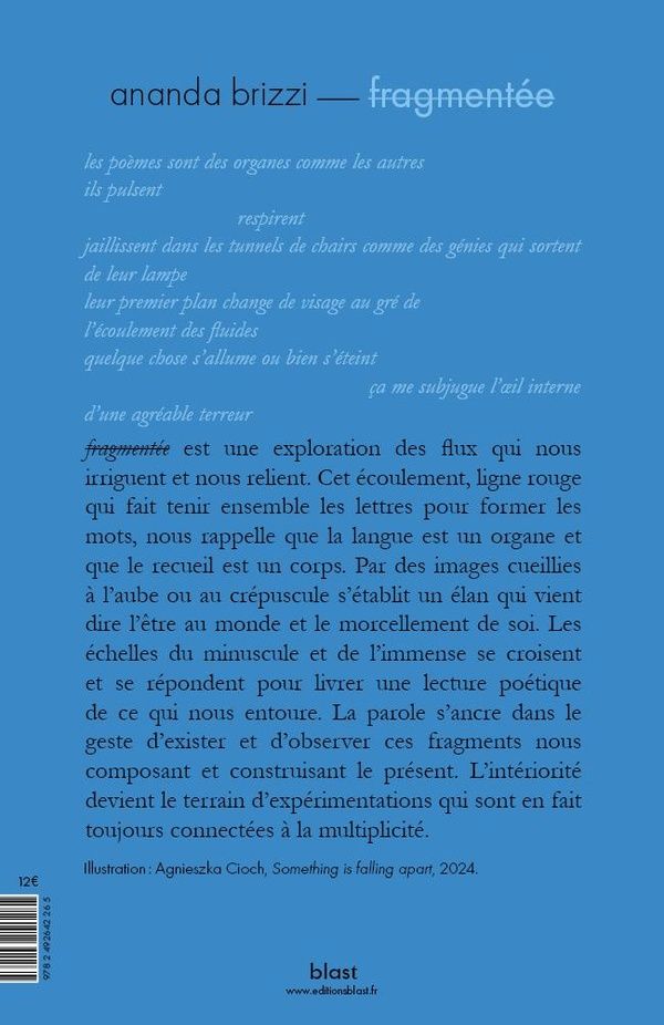 Quatrième de couverture de « Fragmentée »