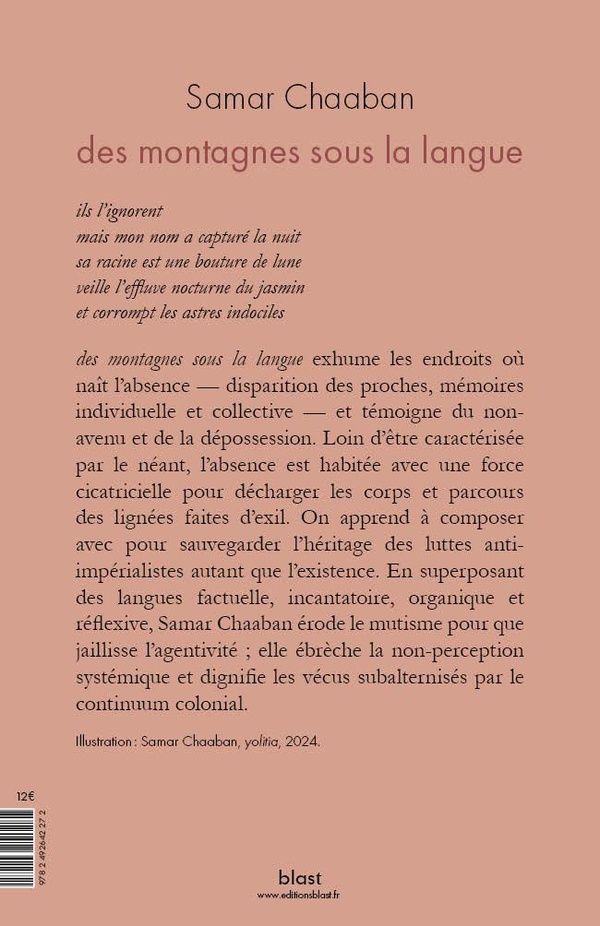 Quatrième de couverture de « Des montagnes sous la langue »