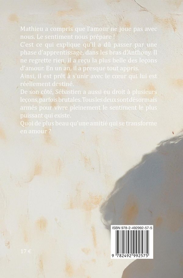 Quatrième de couverture de « Mathieu - Épisodes 11-15 »