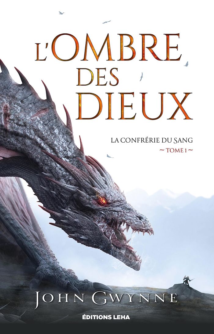 Couverture du livre « L'ombre des dieux » de John Gwynne, librairie Les Contes Infusés à Corte