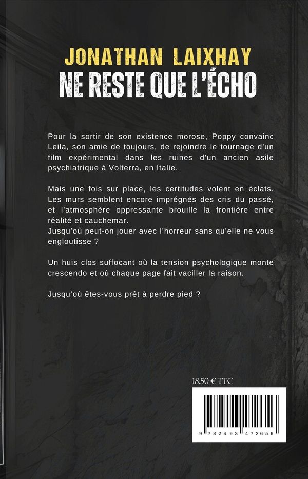 Quatrième de couverture de « Ne reste que l'écho »