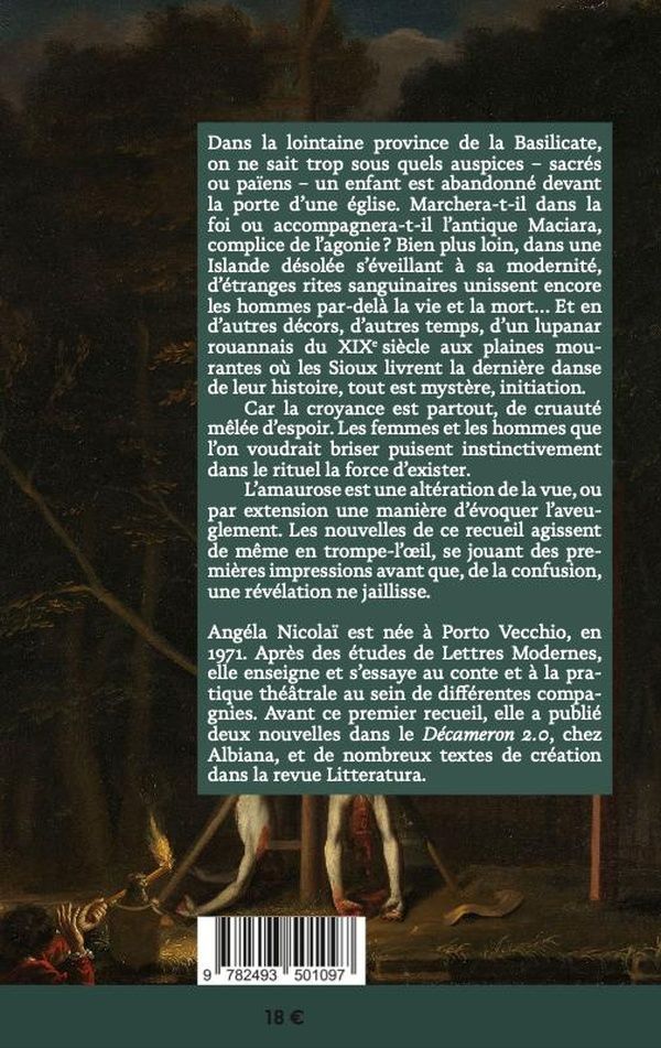 Quatrième de couverture de « AMAUROSE »