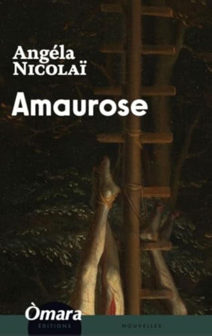 Couverture : AMAUROSE