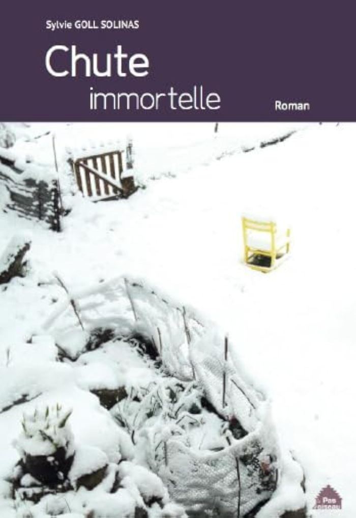 Couverture du livre « Chute immortelle : roman » de Sylvie Goll Solinas, librairie Les Contes Infusés à Corte