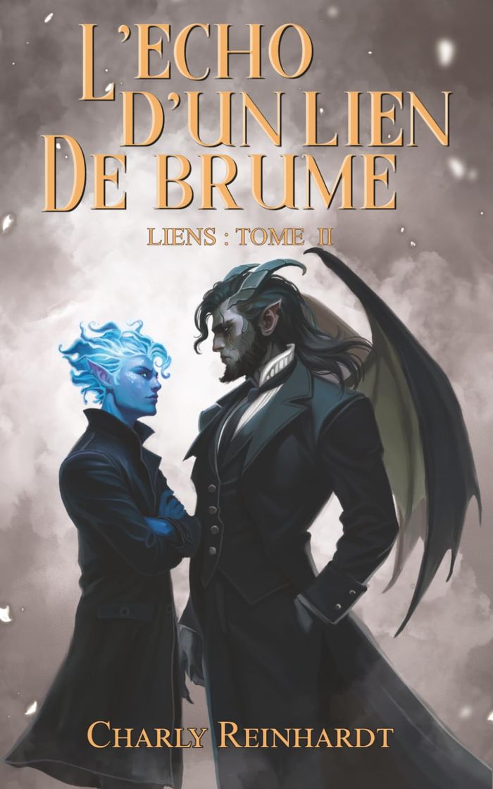 Couverture du livre « L'écho d'un lien de brume » de Charly Reinhardt, librairie Les Contes Infusés à Corte
