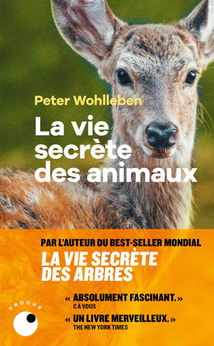 Couverture du livre « La vie secrète des animaux : amour, deuil, compassion » de Peter Wohlleben, librairie Les Contes Infusés à Corte