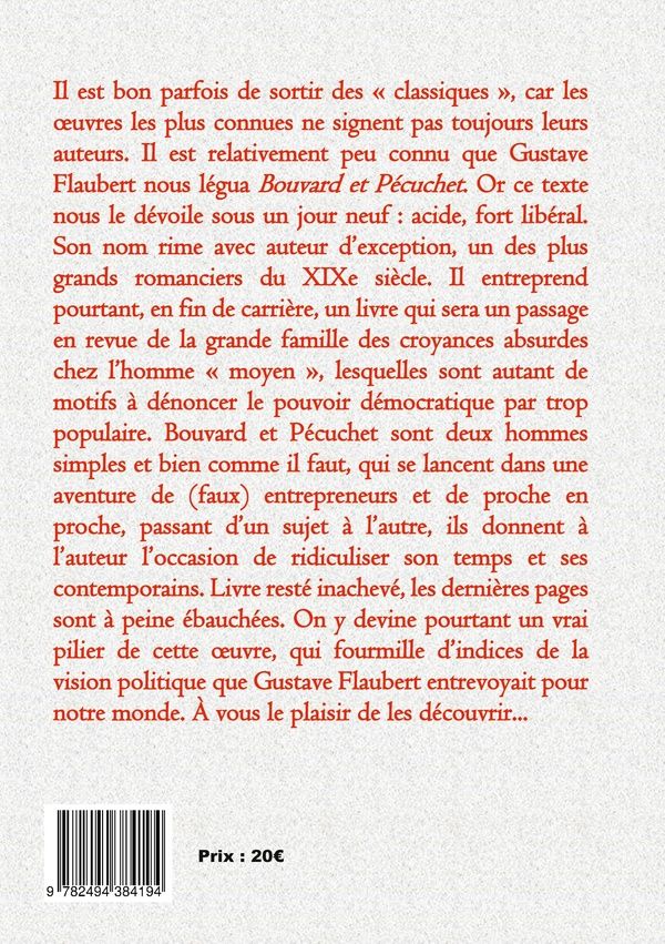 Quatrième de couverture de « BOUVARD & PECUCHET »