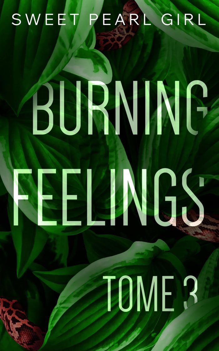 Couverture du livre « Burning feelings » de Sweet Pearl Girl, librairie Les Contes Infusés à Corte