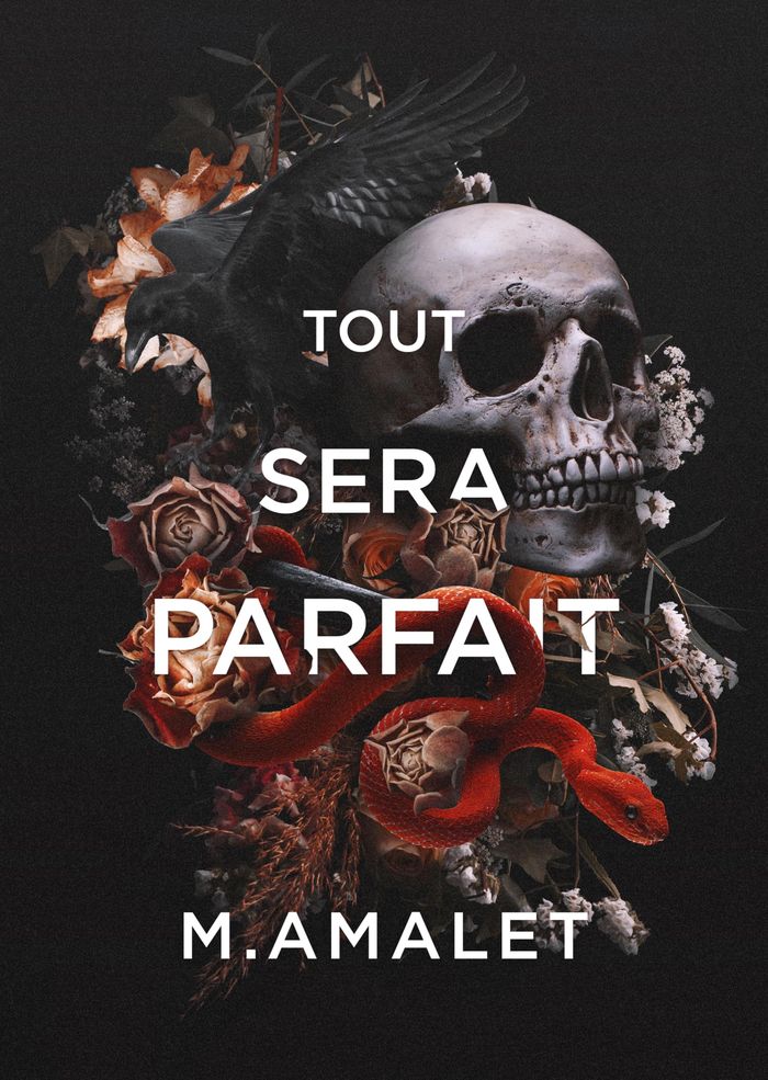 Couverture du livre « Tout sera parfait » de M. Amalet, librairie Les Contes Infusés à Corte