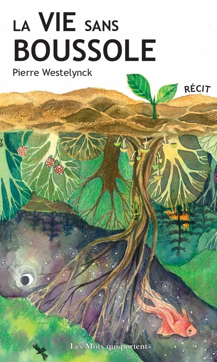 Couverture du livre « LA VIE SANS BOUSSOLE » de Pierre Westelynck, librairie Les Contes Infusés à Corte