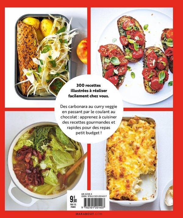 Quatrième de couverture de « 300 recettes à moins de 5 euros »