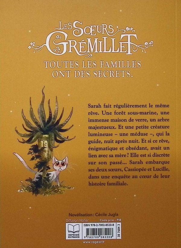 Quatrième de couverture de « LES S URS GREMILLET - LES SOEURS GREMILLET - TOME 1, LE REVE DE SARAH »