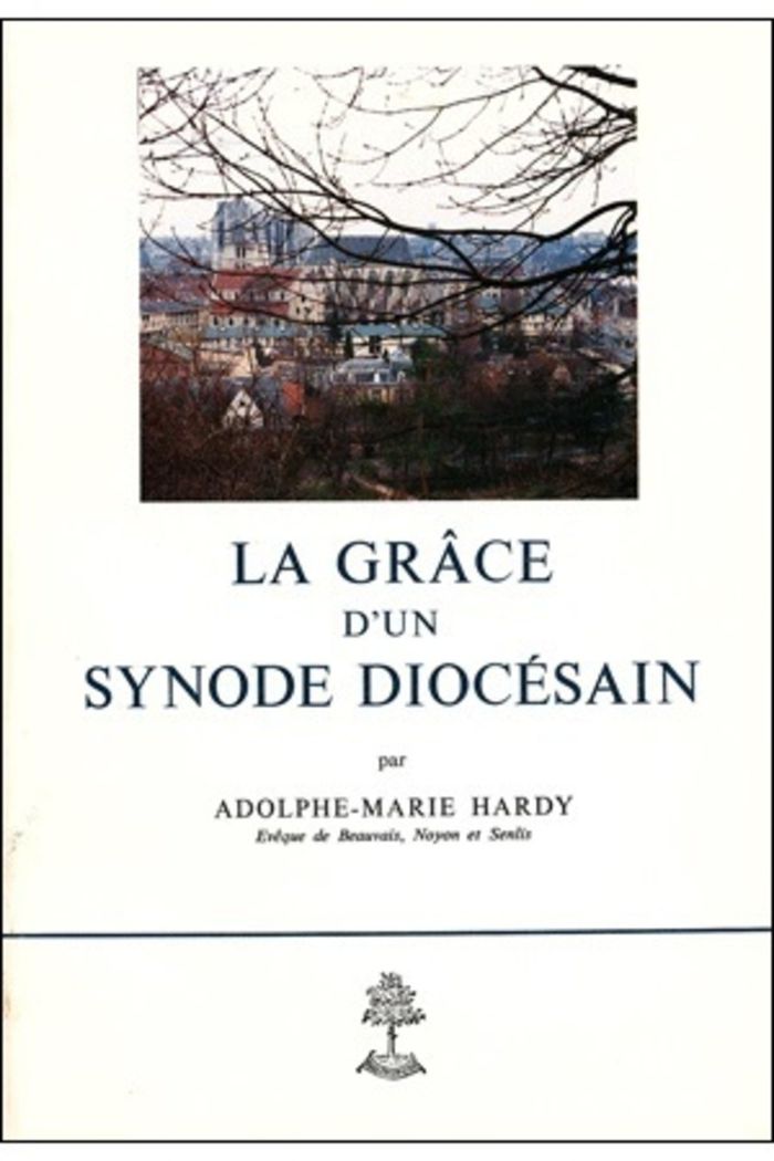 Couverture du livre « LA GRACE D'UN SYNODE DIOCESAIN » de Adolphe-Marie Hardy, librairie Les Contes Infusés à Corte