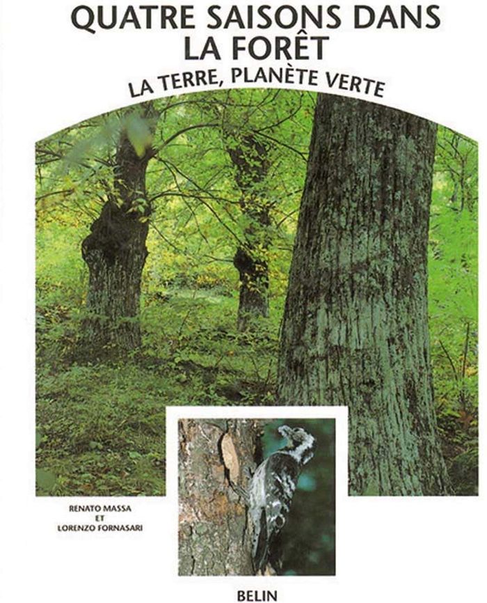 Couverture du livre « 4 SAISONS DANS LA FORET » de Xxx, librairie Les Contes Infusés à Corte